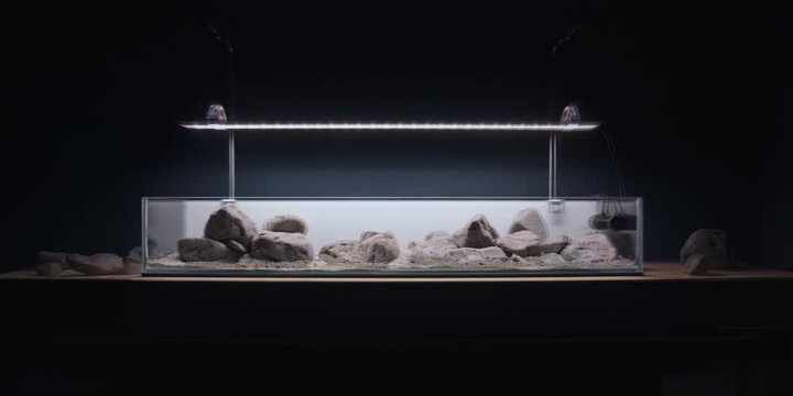 Aquascaping shallow aquarium
