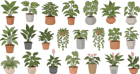 Cartoon Indoor Houseplants Collection with Decorative Flowerpots Hanging Planters and Tropical Green Foliage for Home Decor, Botanical Design, Nursery Prints, and Vector Illustrations © MdMunzurul