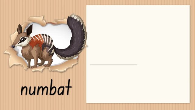 Educational Alphabet Animation for Letter N with Numbat Illustration