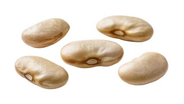 Isolated five dry raw lima beans, also known as butter beans, healthy natural food ingredient