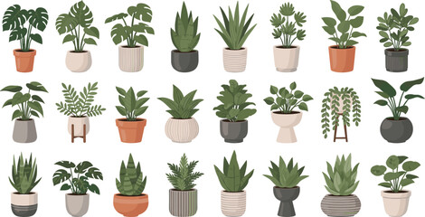 Cartoon Indoor Houseplants Collection with Potted Tropical Green Plants Succulents and Decorative Planters for Home Decor Botanical Vector Illustration © MdMunzurul