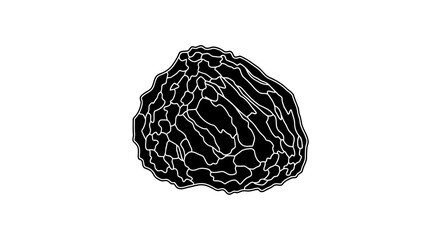 Obraz premium A black truffle with a rough surface and white highlights against a white background.
