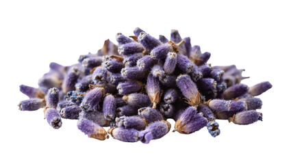 Obraz premium Isolated fragrant pile of dried lavender buds, aromatic purple flowers for relaxation and herbal use