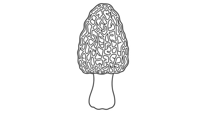 A simple black and white illustration of a morel mushroom with a distinctive honeycomb appearance.