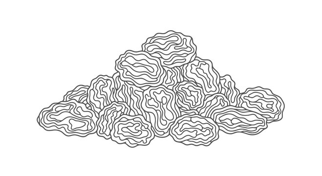 A simple black and white drawing of a pile of brains on a white background.