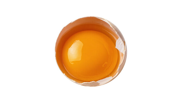 Isolated fresh raw egg yolk in a cracked brown shell, essential ingredient for cooking and baking