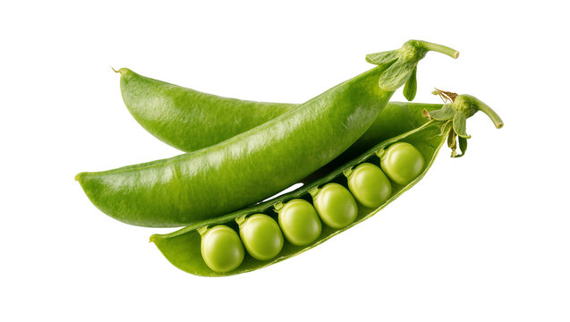Isolated fresh green pea pods, one open showing vibrant peas inside, healthy organic food