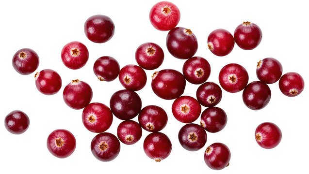 Isolated pile of fresh red cranberries scattered, juicy and ripe, healthy organic fruit for cooking