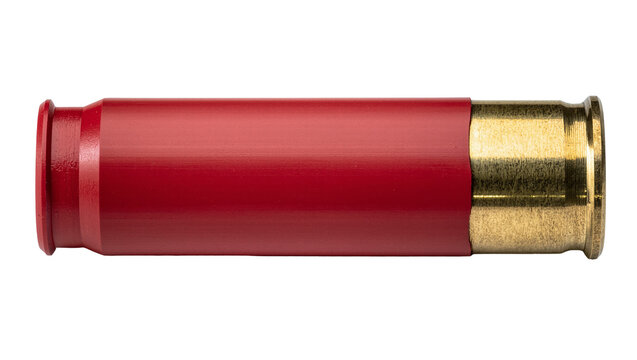 Isolated red and brass shotgun shell or cartridge for firearms ammunition