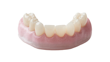 Isolated modern prosthetic upper jaw dental denture or removable bridge for dentistry © Elena