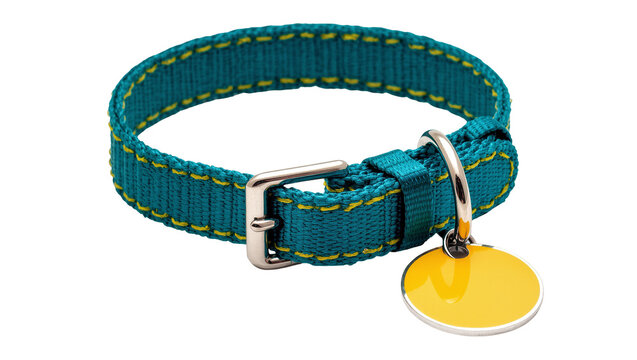 Isolated vibrant teal pet collar with contrasting yellow stitching and blank circular identification tag