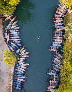 Aerial view of a swimmer embraced by the cool, dark waters, framed by parallel rows of canoes and the lush greenery of Kineret, Israel.