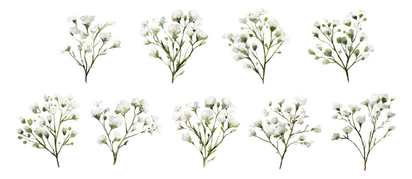 Small watercolor sprigs of white baby's breath with green stems, delicate gypsophila blooms and buds lending soft, fresh, romantic botanical charm for wedding or stationery designs