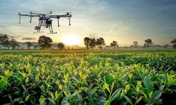 The image shows farmers using modern technology and drones to inspect crops in smart farming.