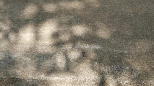 Natural sunlight and shadows of foliage dancing on a grey cement floor. Abstract light and shadow patterns for background use.