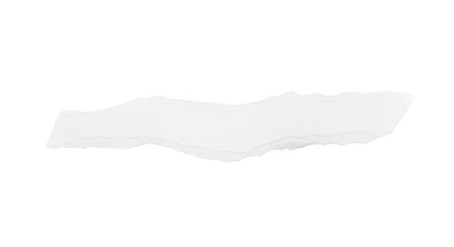A single narrow strip of white paper with rough torn edges showing texture and uneven fiber detail