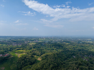 Fototapeta premium Scenic aerial landscape of traditional terraced paddy fields on the fertile slopes of Mount Lawu.