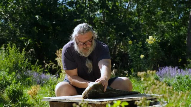 Senior bearded fisherman in glasses preparing a large caught catfish on a wooden board outdoors
