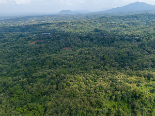 Obraz premium Aerial view of terraced rice fields and a small rural village in a lush green tropical valley.