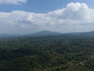 Obraz premium Scenic aerial landscape of traditional terraced paddy fields on the fertile slopes of Mount Lawu.