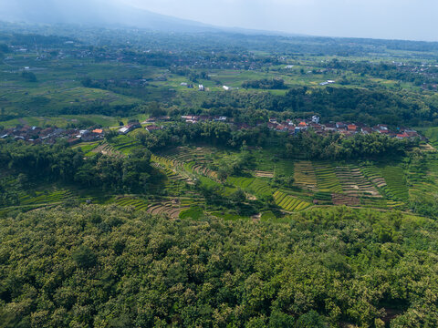 Aerial view of terraced rice fields and a small rural village in a lush green tropical valley.