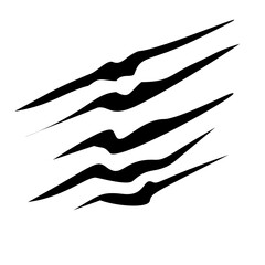 Obraz premium Abstract illustration of black claw marks against a white background, representing a powerful and untamed force