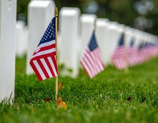 American flags placed at white gravestones on green grass in a cemetery. Focus on flags and cemetery layout.