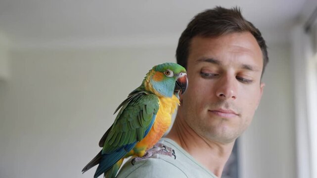 Marvelous moments shared with a colorful parrot in a sunny home setting