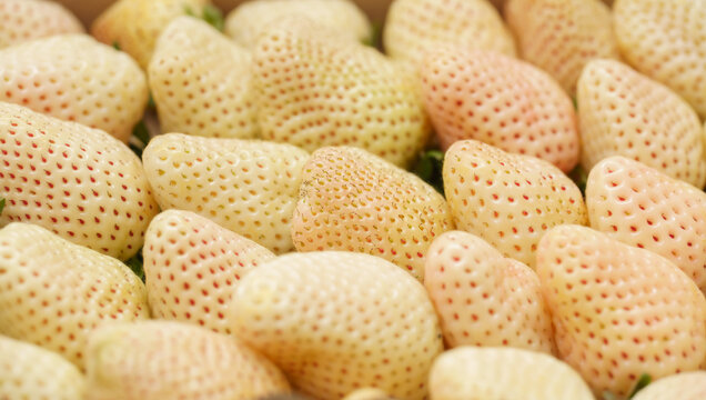 Close-up of unusual white strawberries known as pineberries arranged in a wooden crate. Detailed texture of pale fruit with red seeds and green leaves