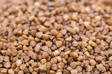 Fototapeta premium Macro buckwheat texture. Brown buckwheat seeds close up. Buckwheat background.