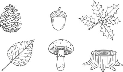 Set of detailed outline illustrations depicting various forest and autumn elements such as a pine cone acorn and mushroom perfect for nature-themed designs or coloring books © Zohaib