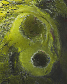 Aerial view of luminous green and yellow moss circles, etched into the dark volcanic landscape, Skaftarhreppur, Iceland.