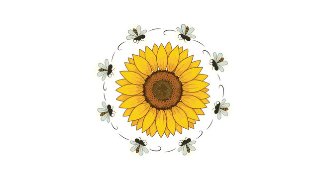 Vibrant yellow sunflower in the center with multiple honey bees flying in a circle around it for nature and spring themes.