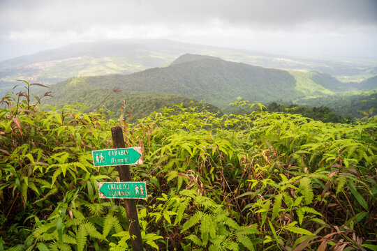 Hiking on a morne in martinique island, french antilles. 