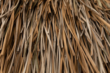 Natural Straw Thatch Texture Background