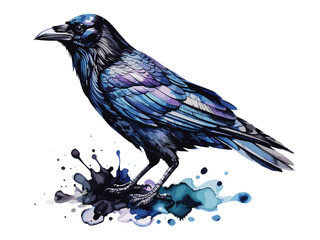 Fototapeta premium Watercolor illustration of a black crow bird standing with iridescent feathers and blue paint splash