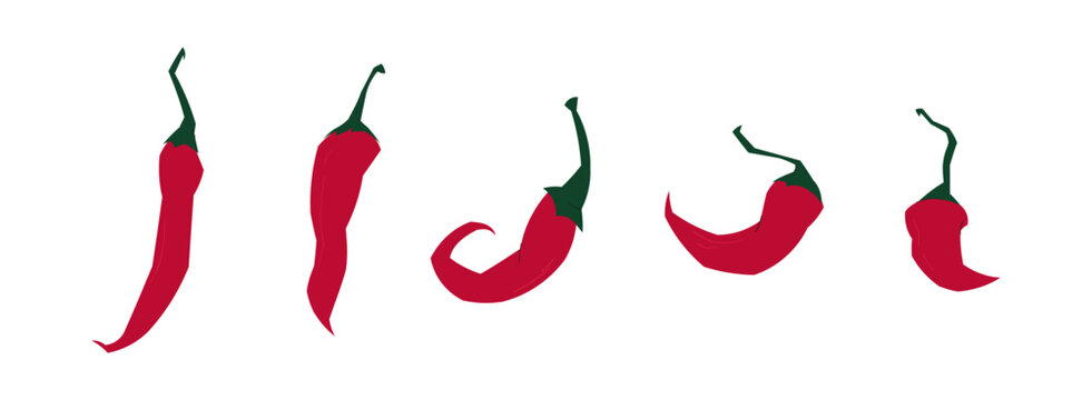 Red chili pepper collection with different curved shapes and stems. Spicy hot vegetable ingredient isolated vector set