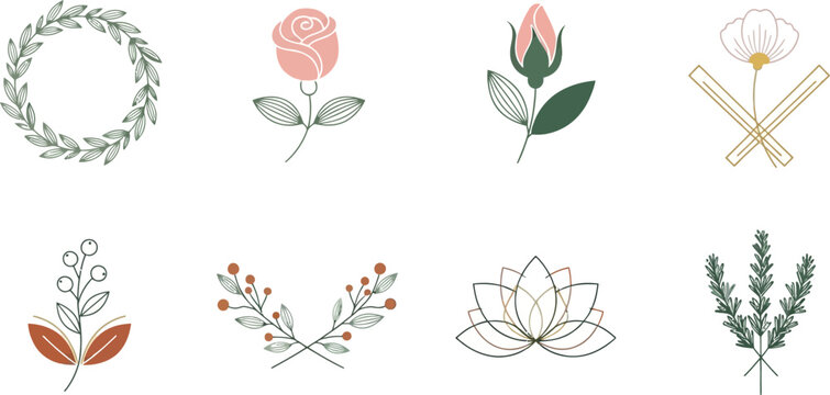 Collection of eight botanical and floral with muted colors leaf