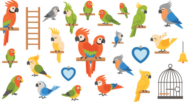 Colorful parrots and tropical birds cartoon vector collection with macaws, cockatoos, cages and perches illustration set for pet and wildlife design