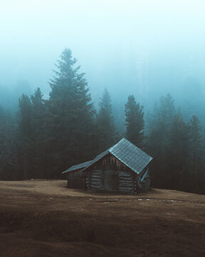 View of a weathered wooden cabin nestles in a misty forest clearing, colors muted by the fog, evoking a sense of quiet isolation, Trentino-South Tyrol, Italy.