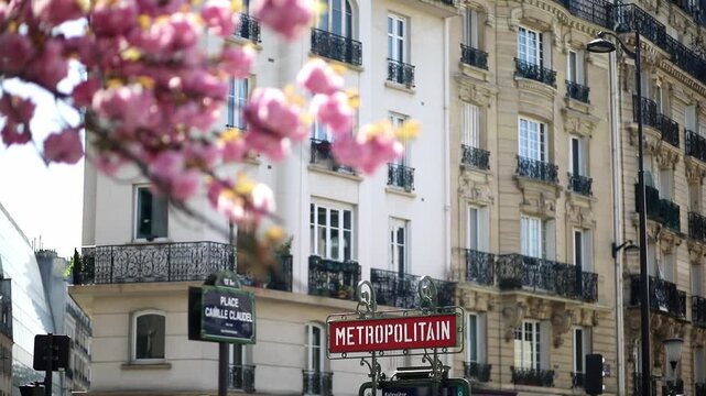 Iconic red Paris metro sign surrounded by blooming cherry blossoms on a sunny spring day
