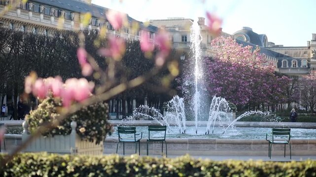 Scenic view of a fountain surrounded by blooming pink magnolias in a park in Paris, France.