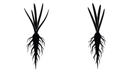 Two black silhouettes of plants with spiky leaves and root systems © MDEmon