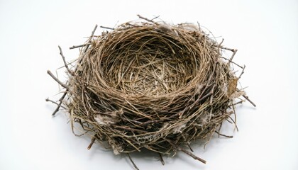 Empty bird nest crafted from twigs and grass on a white background