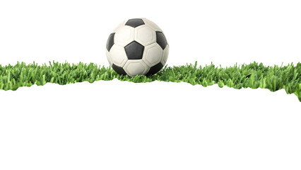 Fototapeta premium Soccer ball on green grass isolated on a transparent background black