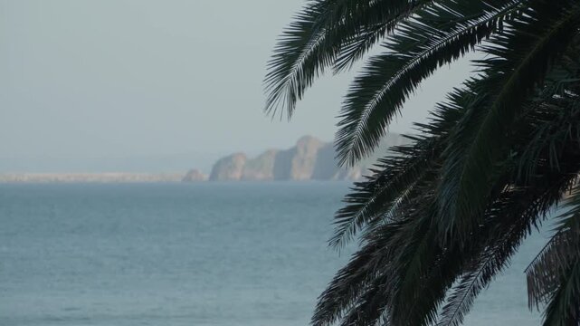 Scenic coastal view from Cand&aacute;s in Asturias, Spain, with palm tree leaves framing the Atlantic Ocean and distant rocky islets on the horizon. Calm seaside landscape under soft natural light.
