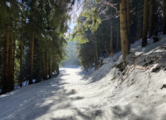 Road in forest at winter in resort Kubinska Hola, Slovakia © TTstudio