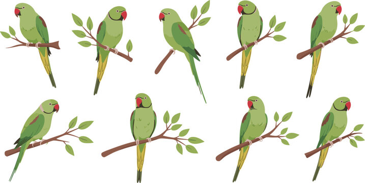 Colorful Parrots Sitting on Branches with Leaves in Vibrant and Nature-Inspired Illustration
