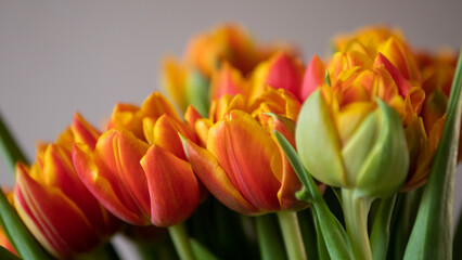 Fototapeta premium Orange tulips bouquet close up with green leaves in natural light spring flowers concept