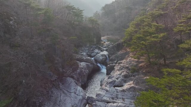 Aerial drone shot of a resilient pine tree growing on a steep, rocky cliff in Mungyeong, South Korea